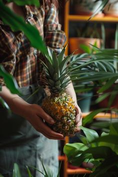 Pineapple Field