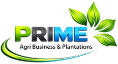 Prime Agri logo